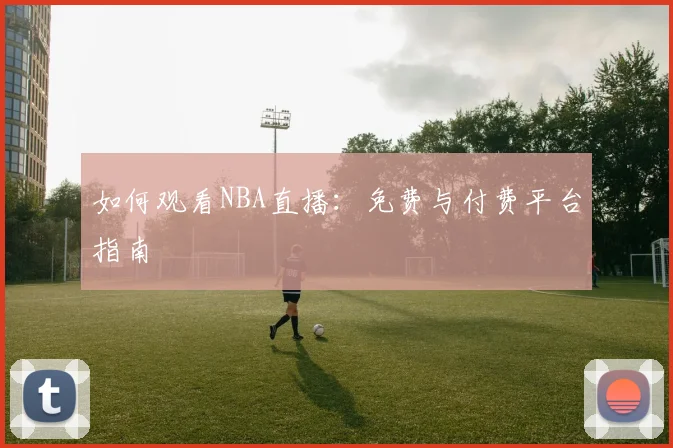 如何观看NBA直播：免费与付费平台指南